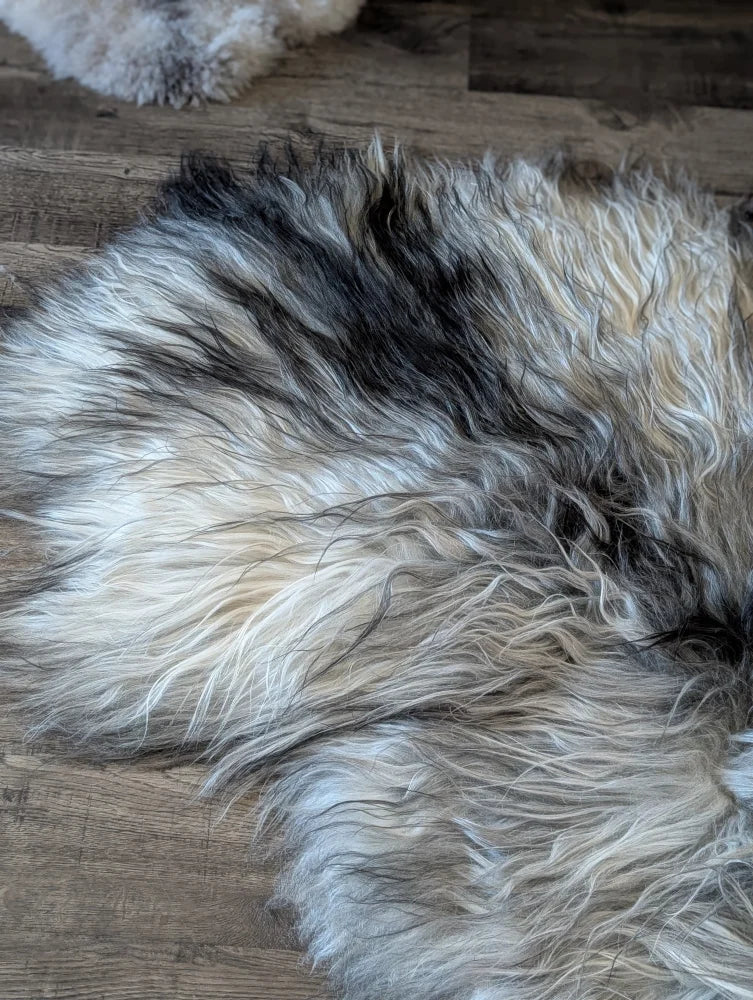 A plush fall#4 58 x 40 inch massive icelandic sheepskin rug with long wool icelandic natural grey fur blend