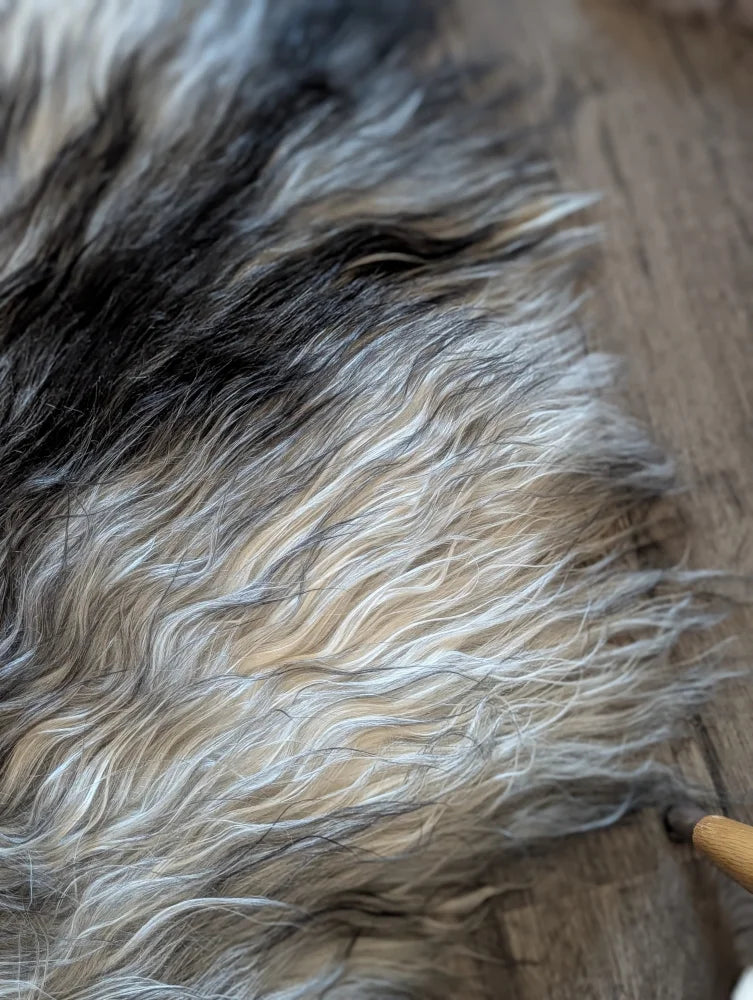 A plush 58 by 40 inch long wool icelandic sheepskin rug with natural black gray and cream gradient colors