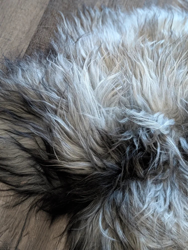 A plush naturally colored fall4 58 x 40 inch massive icelandic sheepskin rug with long wool icelandic fur in gray white and black