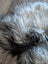 A plush naturally colored fall4 58 x 40 inch massive icelandic sheepskin rug with long wool icelandic fur in gray white and black