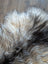 A massive icelandic sheepskin rug with long wool icelandic texture in creamy white to deep black gradient