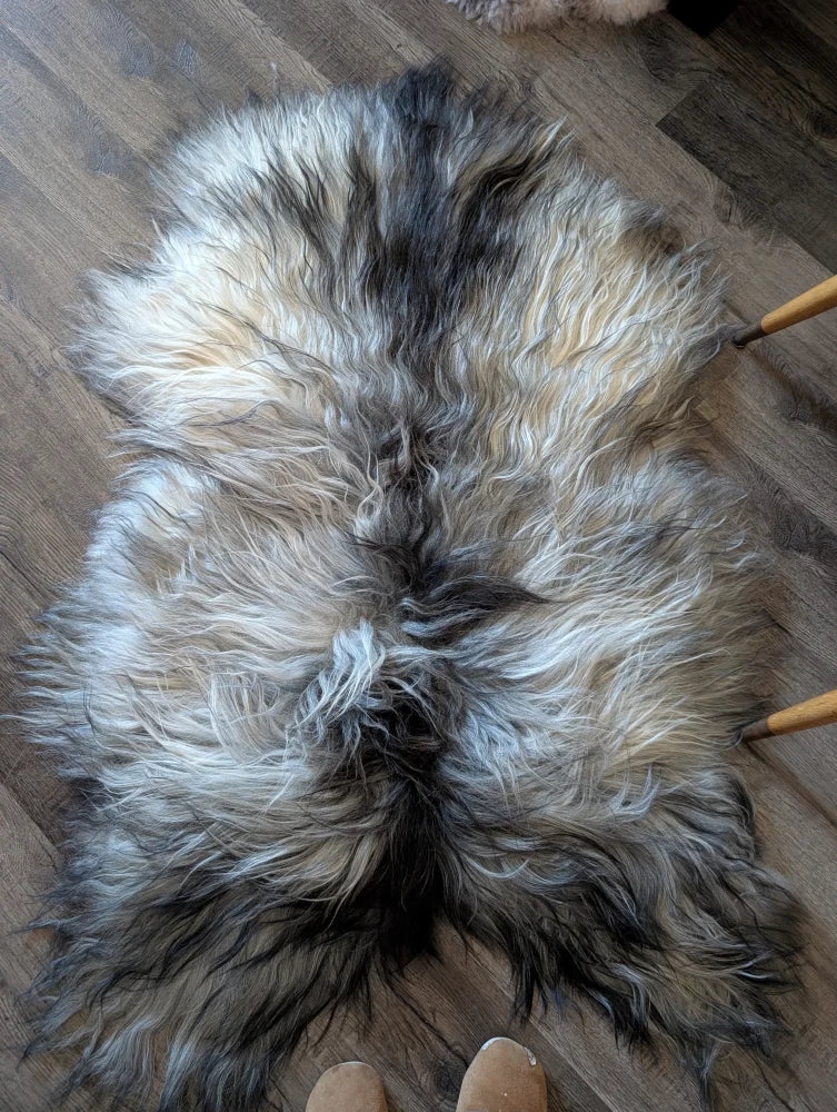 A plush fall4 58 x 40 inch massive icelandic sheepskin rug with long wool icelandic fur in gray black and cream colors