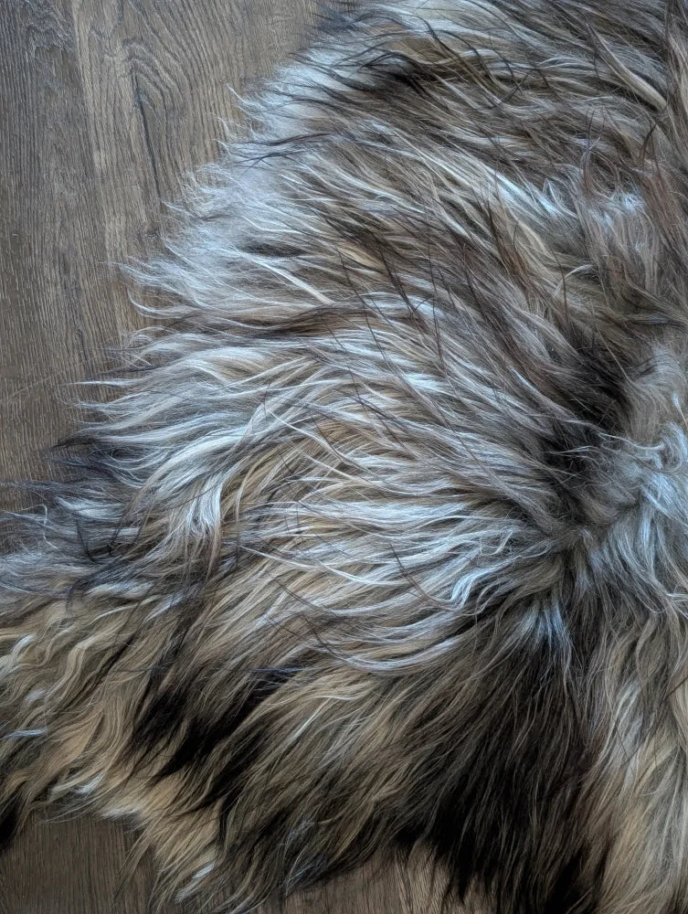 A plush fall#5 61 x 36 shaggy long wool icelandic sheepskin rug in natural grey with white and dark brown tones