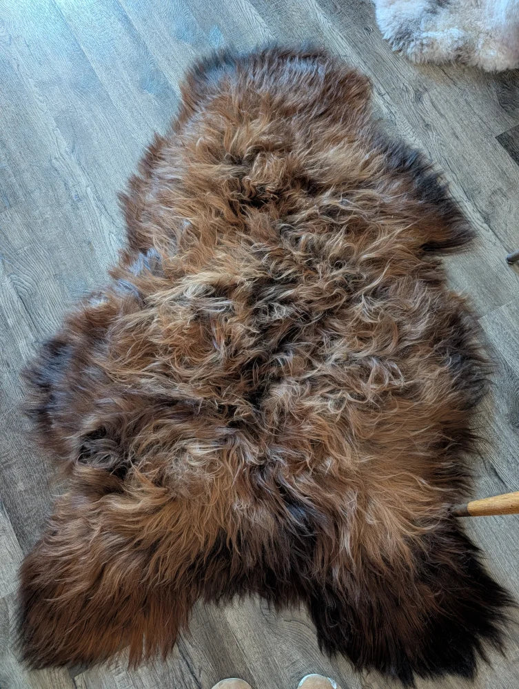 A plush irregular icelandic sheepskin rug with rich brown and black wool icelandic fur measuring 58 by 35 inches