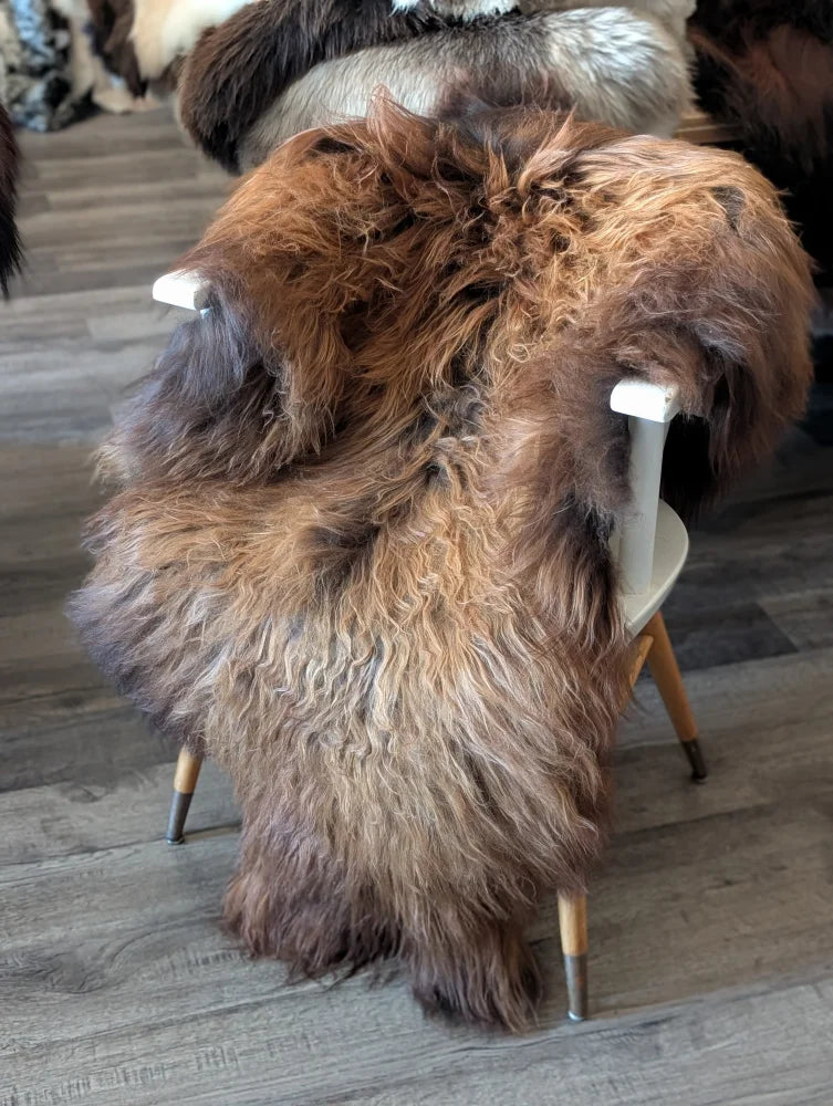 A plush long haired brown and black icelandic sheepskin rug draped over a white chair with wooden legs