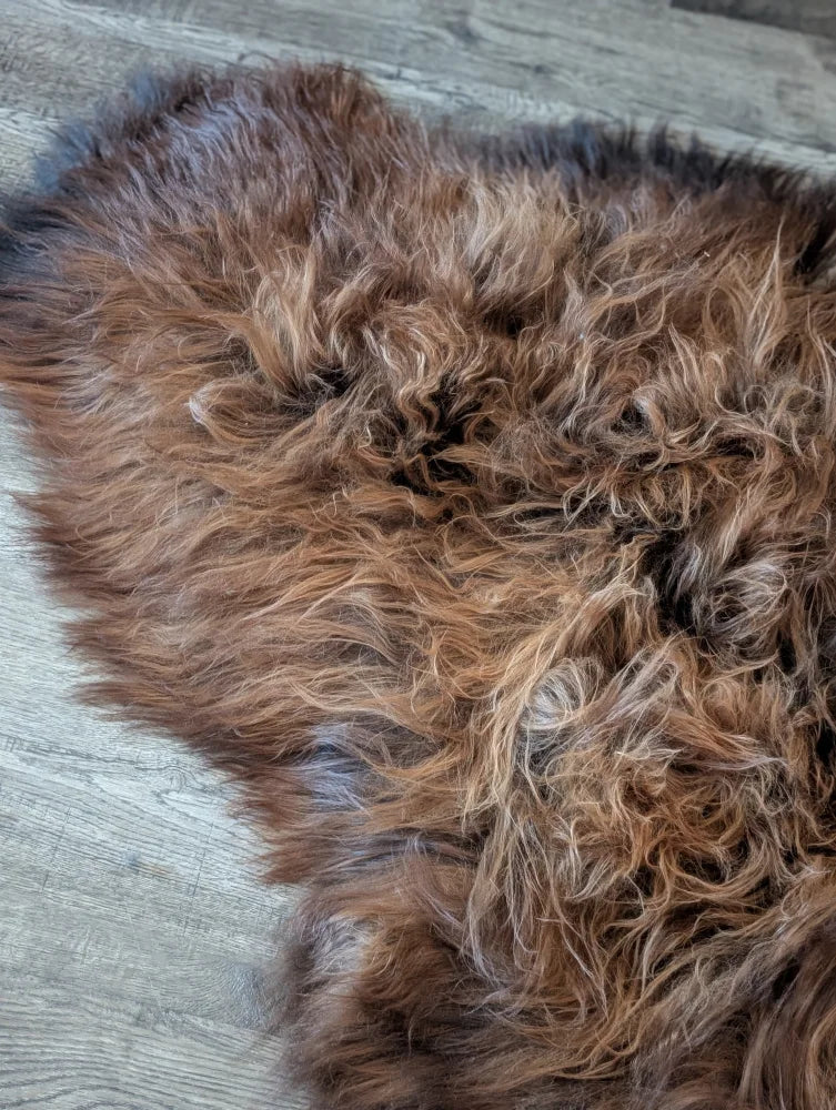 A massive natural dark rusty icelandic sheepskin rug with thick curly wool icelandic texture and irregular shape