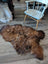 A plush irregular brown wool icelandic sheepskin rug with thick natural fur texture on a wooden floor