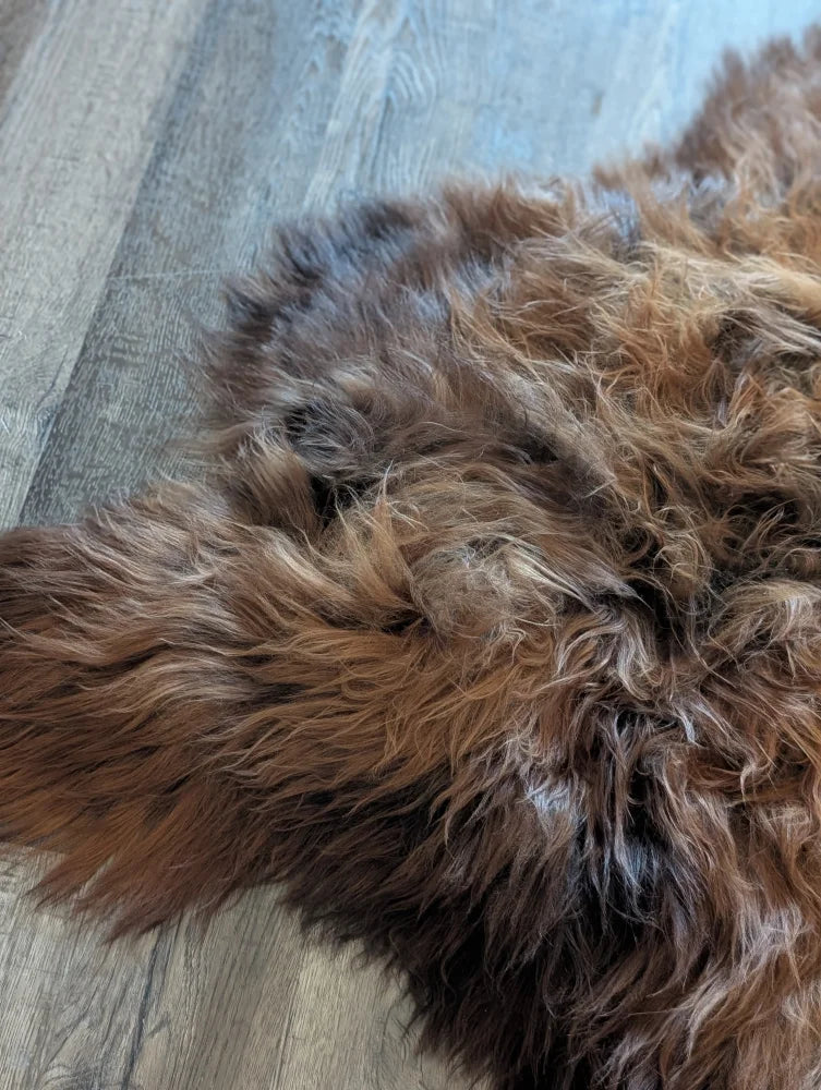 A plush naturally colored brown and black thick shaggy wool icelandic sheepskin rug perfect for cozy spaces