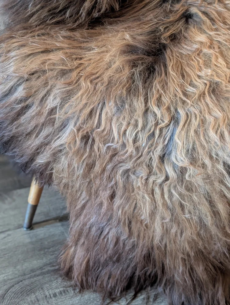 A plush curly brown and beige wool icelandic sheepskin rug with a soft natural texture for cozy decor