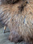 A plush curly brown and beige wool icelandic sheepskin rug with a soft natural texture for cozy decor