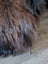 A plush shaggy brown and black wool icelandic faux fur ottoman with a single metallic leg perfect for cozy spaces