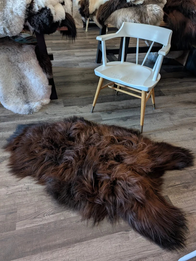 A massive natural dark rusty icelandic sheepskin rug with long dense wool on a wooden floor for cozy decor