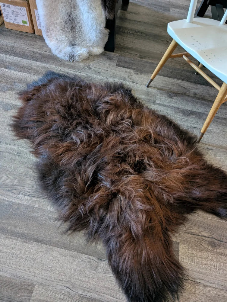 A plush irregular shaped icelandic sheepskin rug in dark rusty brown with long thick wool on a wooden floor