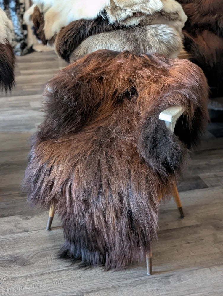 A massive natural dark rusty icelandic sheepskin rug draped over a modern chair with slender metal legs