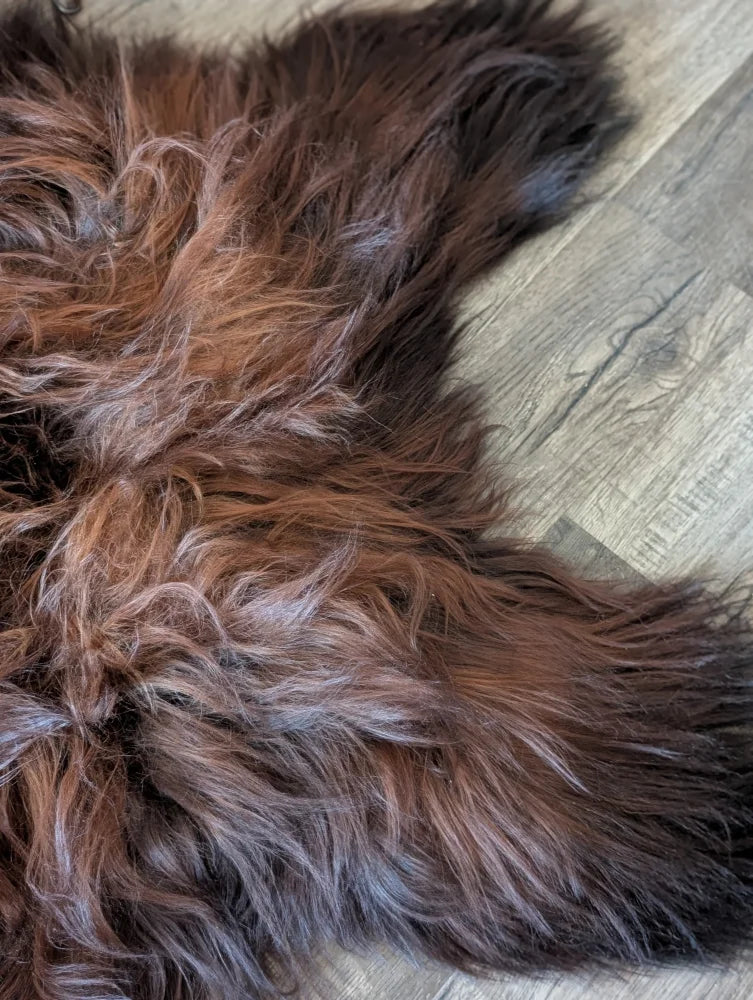 A plush shaggy brown wool icelandic sheepskin rug with natural color variations and soft textured surface