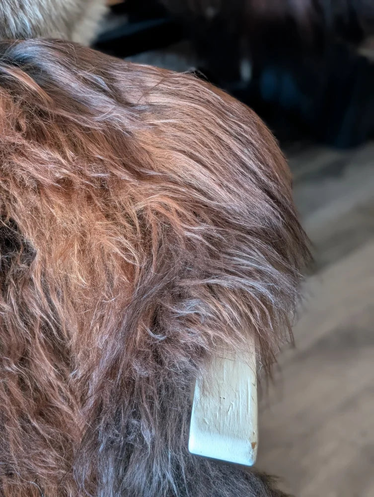 A white tag on the thick brown and gray wool icelandic sheepskin with natural dark rusty tones in a massive rectangular shape