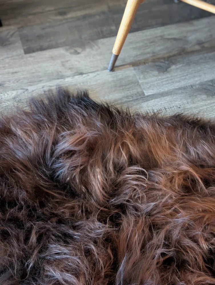 A plush shaggy dark rusty icelandic sheepskin rug with soft textured wool icelandic surface in brown and black