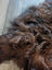 A plush shaggy brown wool icelandic sheepskin rug with soft textured surface and natural shade variations