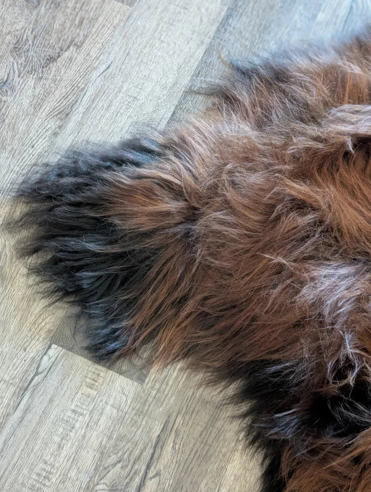 A plush multicolored wool icelandic sheepskin rug with rich brown and black strands measuring 54 by 35 inches