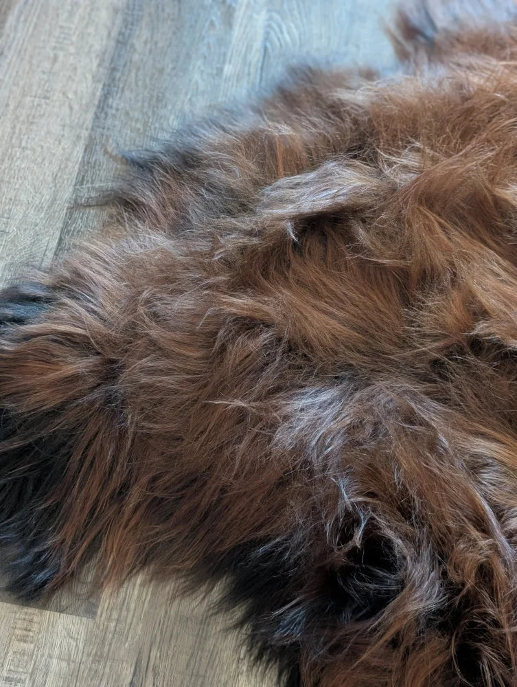 A plush shaggy brown wool icelandic sheepskin rug with dark and light tones in a natural dark rusty color