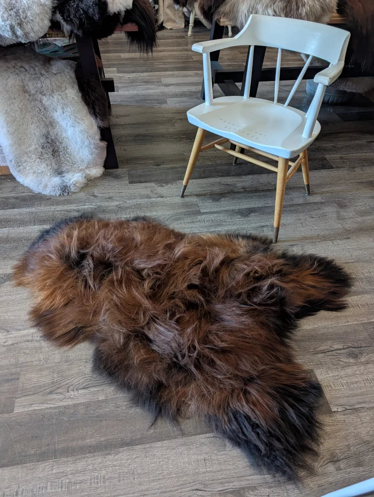 A plush irregular brown and black wool icelandic sheepskin rug with thick fur on a wooden floor