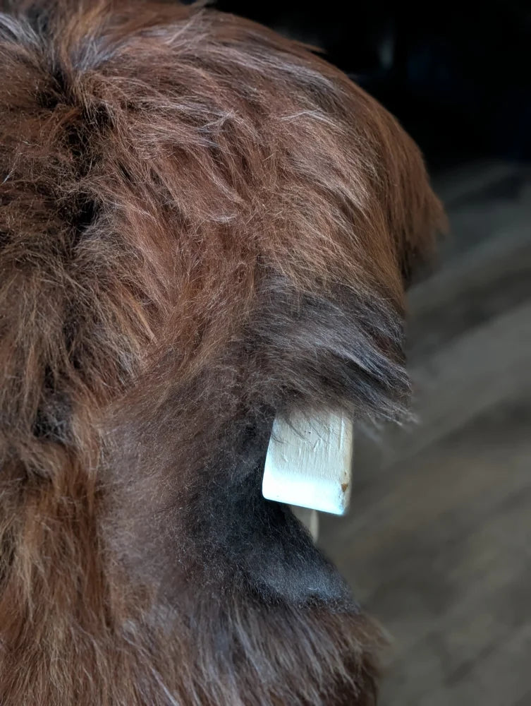 A white tag embedded in thick brown wool icelandic sheepskins from fall7 54 by 35 inch natural dark rusty sheepskin