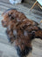 A plush irregular icelandic sheepskin rug in natural dark rusty shades with thick wool icelandic fur on wooden floor
