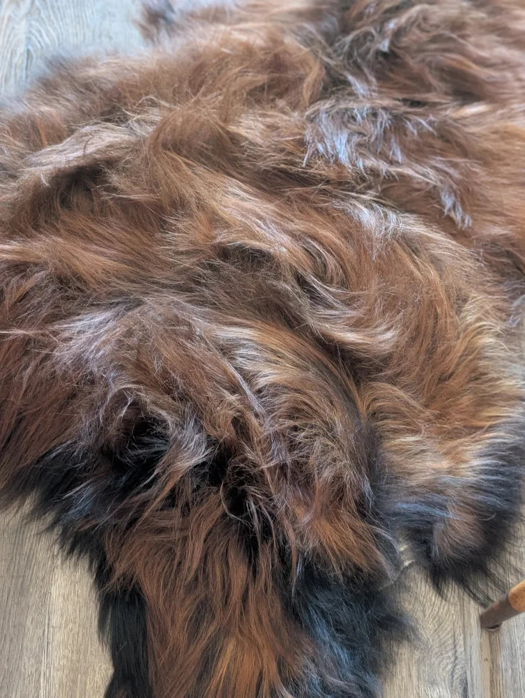 A plush shaggy brown and black wool icelandic sheepskin rug with a natural textured look perfect for cozy decor