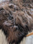 A plush shaggy brown and black icelandic sheepskin rug with soft textured wool icelandic fur perfect for cozy decor