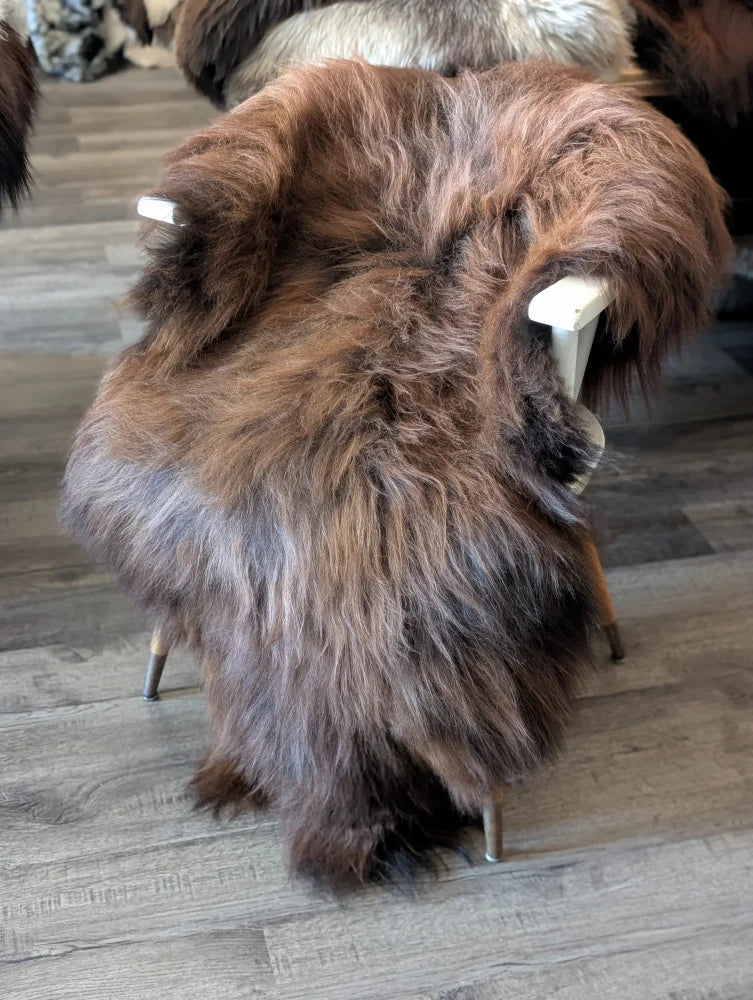 A plush long-haired dark rusty icelandic sheepskin rug draped over a white chair perfect for cozy decor