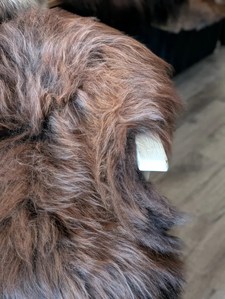 A white tag peeking from beneath thick natural dark rusty wool icelandic sheepskin fur in a rectangular shape