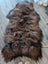 A plush natural dark rusty icelandic sheepskin rug with soft shaggy wool icelandic fur and irregular edges