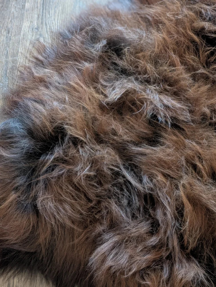 A plush curly brown and black wool icelandic sheepskin rug with a soft textured surface perfect for cozy decor