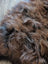 A plush curly brown and black wool icelandic sheepskin rug with a soft textured surface perfect for cozy decor