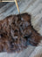 A plush irregular brown icelandic sheepskin rug with thick wool icelandic texture and natural shade variations