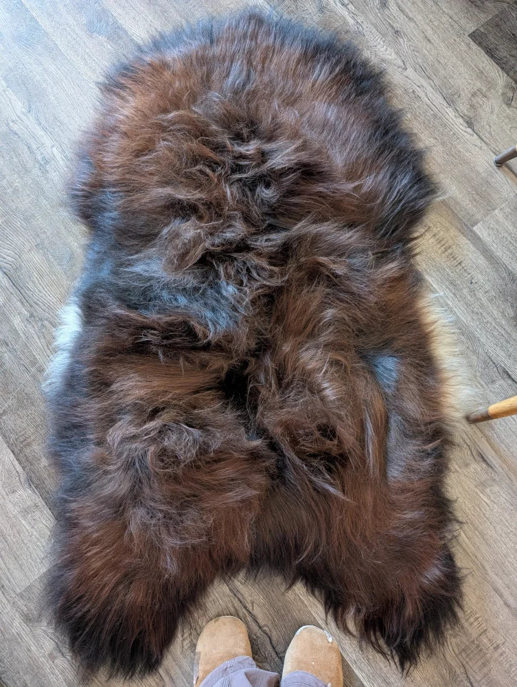 A plush naturally colored icelandic sheepskin rug with rich brown and dark gray wool icelandic fur perfect for cozy spaces