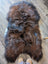 A plush naturally colored icelandic sheepskin rug with rich brown and dark gray wool icelandic fur perfect for cozy spaces