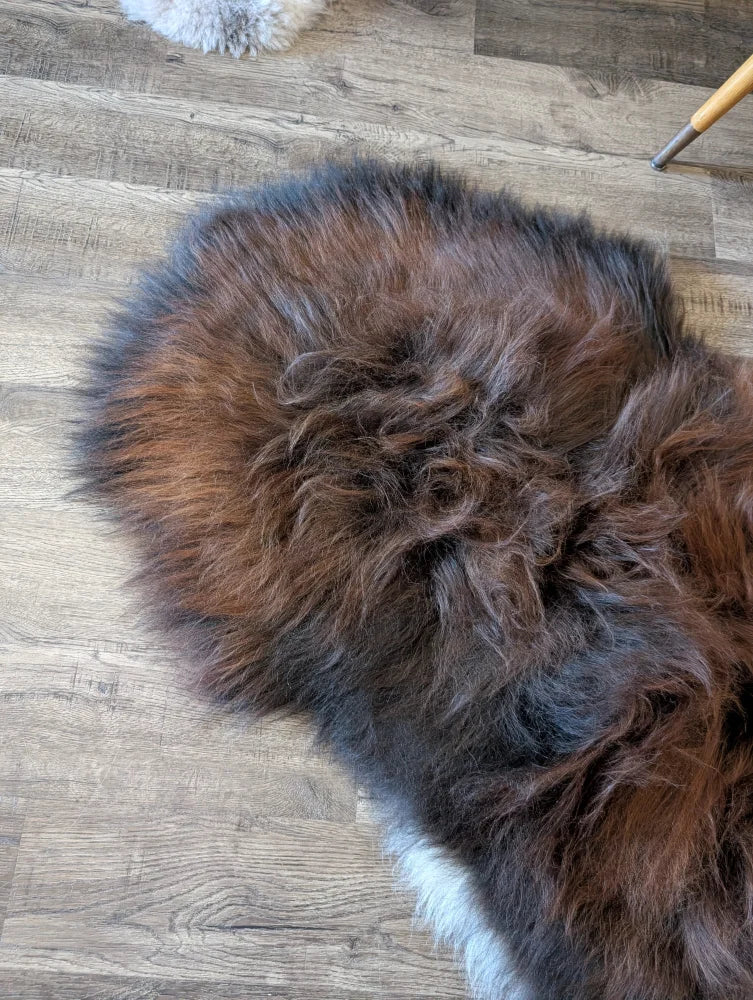 A plush circular wool icelandic sheepskin rug in dark rusty brown and gray perfect for cozy fall decor