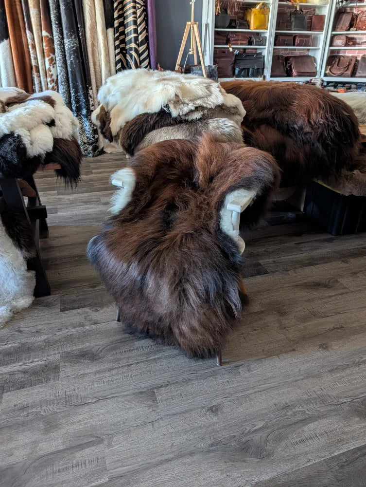 A plush thick brown and white wool icelandic sheepskin rug with natural fluffy texture perfect for cozy spaces