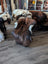 A plush thick brown and white wool icelandic sheepskin rug with natural fluffy texture perfect for cozy spaces