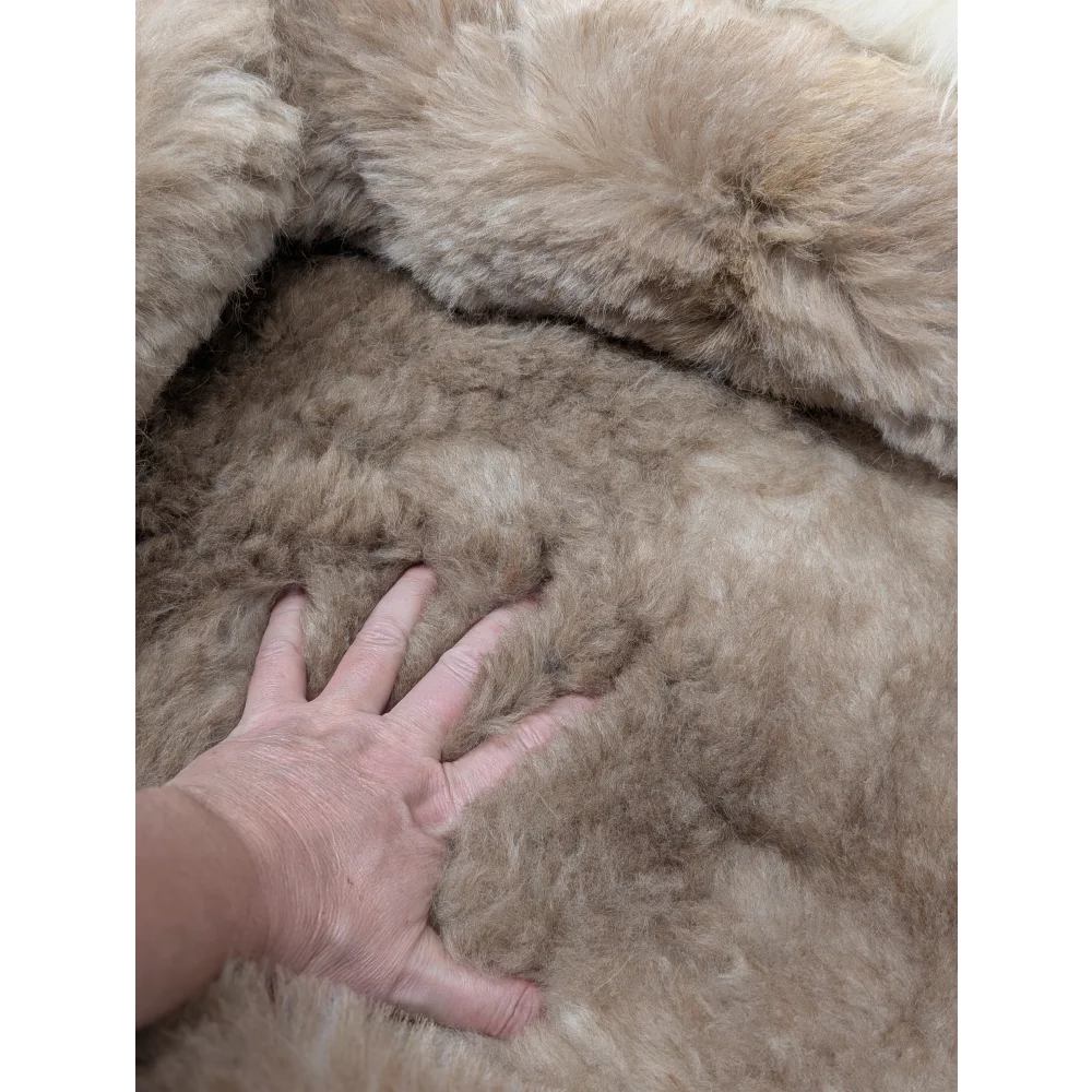Cozy short wool highland sheepskin pet bed with light beige fur texture