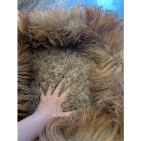 Golden fluffy faux fur sheepskin pet bed throw with brown accents