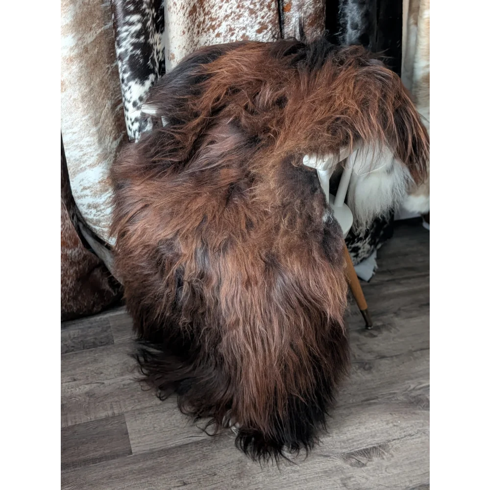 Gorgeous 66x36 Angus Oliver Icelandic sheepskin rug with brown fur and black tips