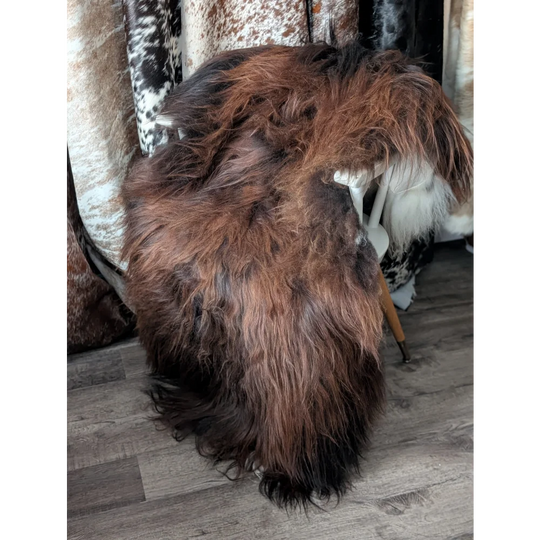 Gorgeous 66x36 Angus Oliver Icelandic sheepskin rug with brown fur and black tips