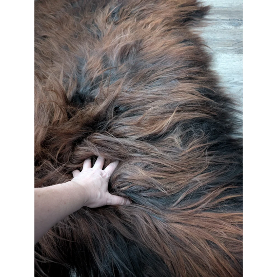 Gorgeous 66x36 Angus Oliver Icelandic sheepskin rug with brown fluffy dog fur texture