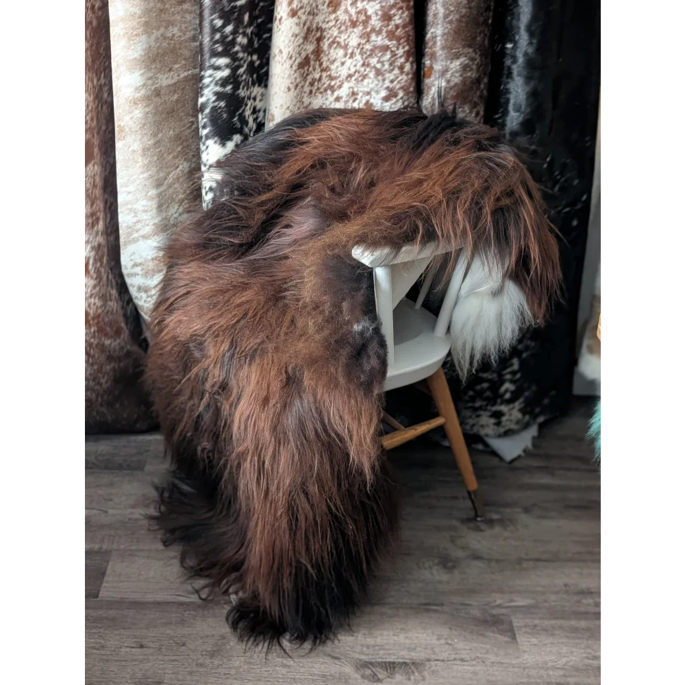 Gorgeous Icelandic sheepskin rug in brown black fur with white collar, 66x36 by Angus Oliver