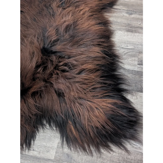 Angus Oliver 66x36 icelandic sheepskin rug with brown fur black tips