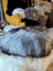 Fluffy grey Icelandic sheepskin floor pouf hat view