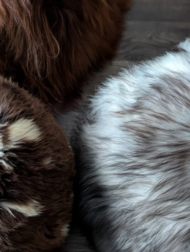 Fluffy brown and white Icelandic sheepskin floor pouf pet bed