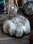 Fluffy gray white Icelandic sheepskin floor pouf with dark base